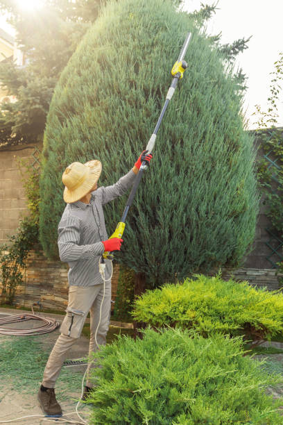 Leaf Removal in Great River, NY